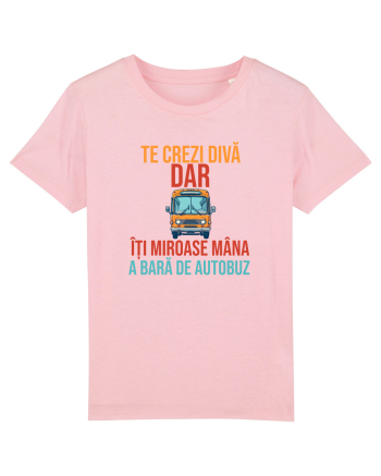 TE CREZI DIVA, DAR ITI MIROASE MANA A BARA DE AUTOBUZ 2 Cotton Pink