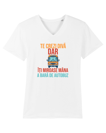 TE CREZI DIVA, DAR ITI MIROASE MANA A BARA DE AUTOBUZ 2 White