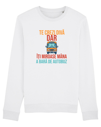 TE CREZI DIVA, DAR ITI MIROASE MANA A BARA DE AUTOBUZ 2 White