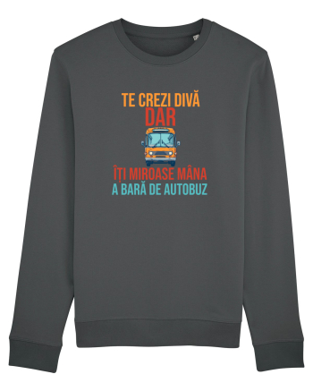 TE CREZI DIVA, DAR ITI MIROASE MANA A BARA DE AUTOBUZ 2 Anthracite