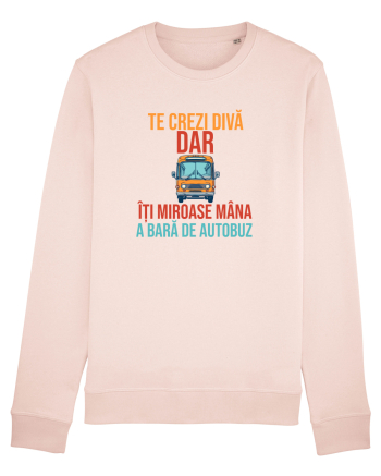 TE CREZI DIVA, DAR ITI MIROASE MANA A BARA DE AUTOBUZ 2 Candy Pink