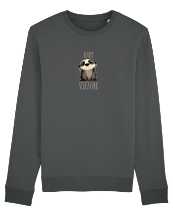 BABY VIEZURE (bursuc) Anthracite