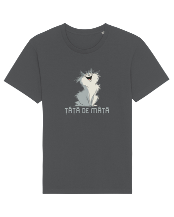 ȚAȚA DE MAȚA 2 Anthracite