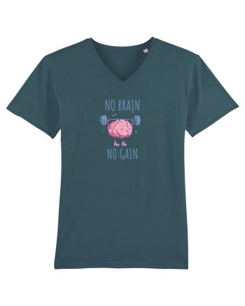 NO BRAIN, NO GAIN - NU AI CREIER, NU AI SUCCES Stargazer