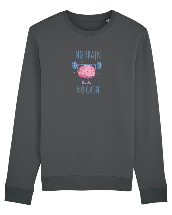 NO BRAIN, NO GAIN - NU AI CREIER, NU AI SUCCES Anthracite
