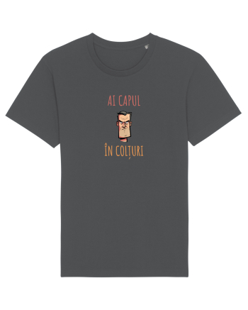 AI CAPUL IN COLTURI 1 Anthracite