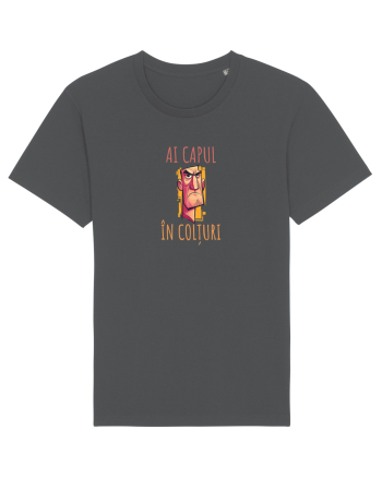 AI CAPUL IN COLTURI 2 Anthracite