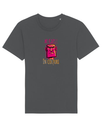 AI CAPUL IN COLTURI 3 Anthracite