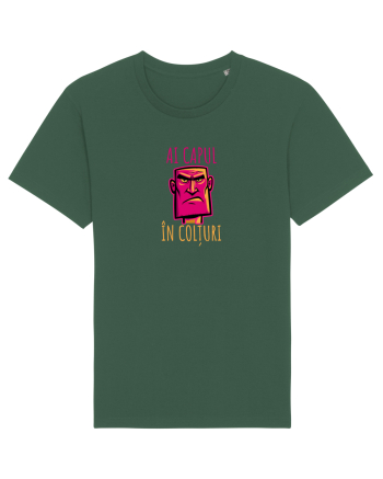 AI CAPUL IN COLTURI 3 Bottle Green