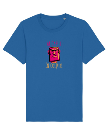 AI CAPUL IN COLTURI 3 Royal Blue