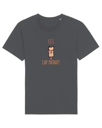 ESTI CAP PATRAT? 2 Anthracite