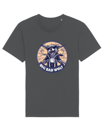 BIG BAD WOLF - CHIHUAHUA CARE SE CREDE LUPU` RAU 2 Anthracite