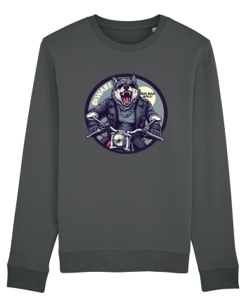 BEWARE OF THE BIG BAD WOLF  - FERESTE-TE DE LUPUL MARE SI RAU Anthracite