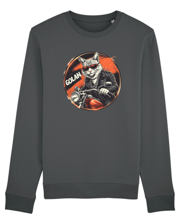 MOTAN - GOLAN - MOTOCICLIST Anthracite