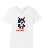 MOTAN -  I LIKE PUSSY CATS 2 Tricou mânecă scurtă guler V Bărbat Presenter