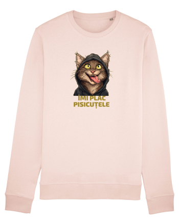 IMI PLAC PISICUTELE 2 Candy Pink