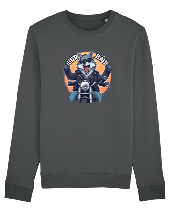 LUP RAU Anthracite