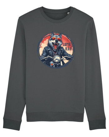 LUPU`  RAU Anthracite