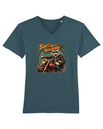 SUNT GOLAN, SUNT VAGABOND 2 Stargazer
