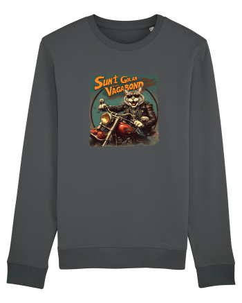SUNT GOLAN, SUNT VAGABOND 2 Anthracite