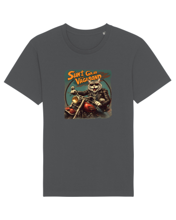 SUNT GOLAN, SUNT VAGABOND 2 Anthracite