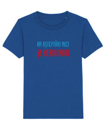 AM ASTEPTARI MICI SI NERVI MARI Majorelle Blue