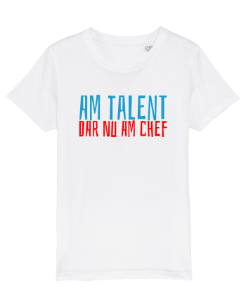AM TALENT, DAR NU AM CHEF White