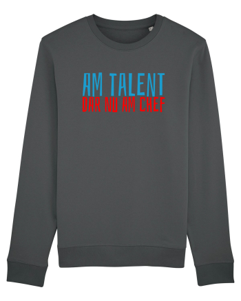 AM TALENT, DAR NU AM CHEF Anthracite