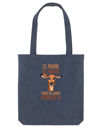 CE PRIVIRE DE CAPRIOARA PRINSA IN LUMINA FARURILOR AI! 1 Midnight Blue