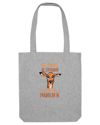 CE PRIVIRE DE CAPRIOARA PRINSA IN LUMINA FARURILOR AI! 1 Heather Grey