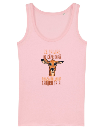 CE PRIVIRE DE CAPRIOARA PRINSA IN LUMINA FARURILOR AI! 1 Cotton Pink