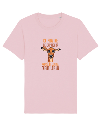 CE PRIVIRE DE CAPRIOARA PRINSA IN LUMINA FARURILOR AI! 1 Cotton Pink