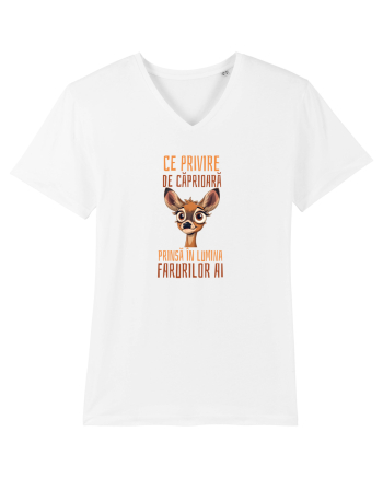 CE PRIVIRE DE CAPRIOARA PRINSA IN LUMINA FARURILOR AI! 2 White