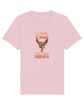 CE PRIVIRE DE CAPRIOARA PRINSA IN LUMINA FARURILOR AI! 2 Cotton Pink