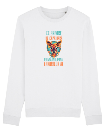 CE PRIVIRE DE CAPRIOARA PRINSA IN LUMINA FARURILOR AI! 3 White