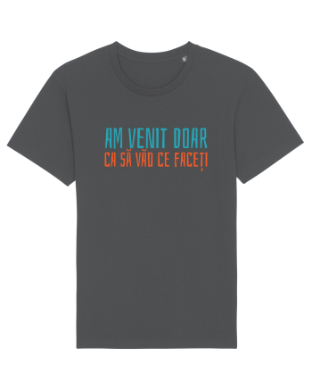 AM VENIT DOAR CA SA VAD CE FACETI 2 Anthracite