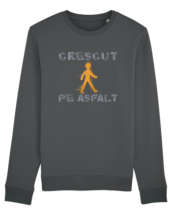CRESCUT PE ASFALT 1 Anthracite