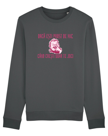 DACA ESTI PROST DE MIC, CAND CRESTI DOAR TE JOCI Anthracite