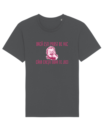 DACA ESTI PROST DE MIC, CAND CRESTI DOAR TE JOCI Anthracite