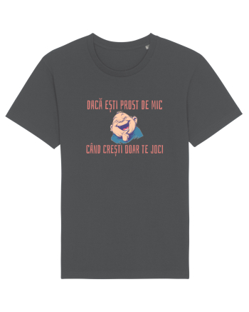 DACA ESTI PROST DE MIC, CAND CRESTI DOAR TE JOCI 2 Anthracite
