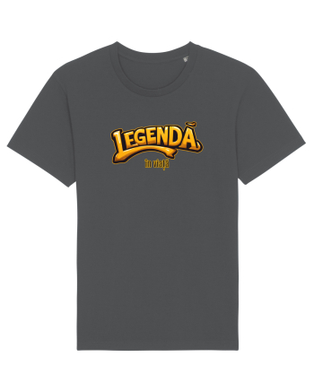 LEGENDA IN VIATA Anthracite