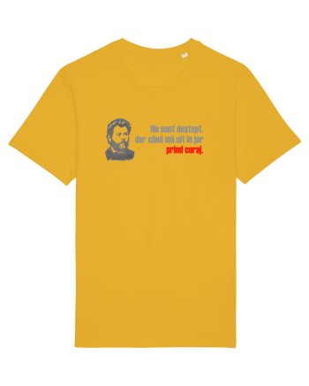 NU SUNT DESTEPT, DAR CAND MA UIT IN JUR PRIND CURAJ - citat Ion Creanga Spectra Yellow