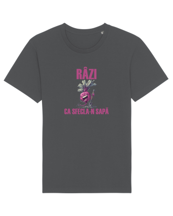RÂZI CA SFECLA - N SAPA Anthracite