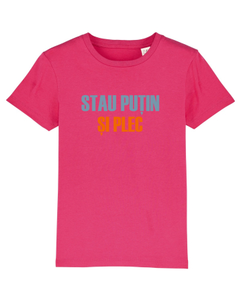 STAU PUTIN SI PLEC Raspberry