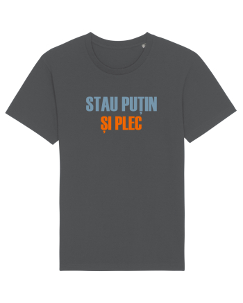STAU PUTIN SI PLEC Anthracite