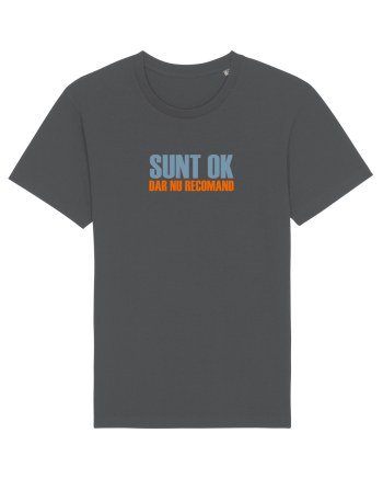 SUNT OK, DAR NU RECOMAND Anthracite