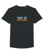 SUNT OK, DAR NU RECOMAND Tricou mânecă scurtă guler larg Bărbat Skater