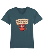 SALVATI ANIMALELE, MANCATI OAMENI - umor absurd - mistret Tricou mânecă scurtă guler V Bărbat Presenter