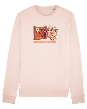 TE UITI CA VITELUL LA POARTA NOUA 2 Candy Pink
