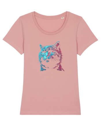 PISICA / MOTAN ALBASTRU DE RUSIA - RUSSIAN BLUE Canyon Pink